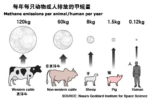 甲烷排放與生物